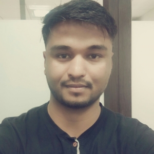 Vikram Singh-Freelancer in Delhi,India