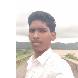 Ajay Kumar-Freelancer in Dhamtari,India