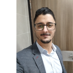 David Fogaça-Freelancer in ,Brazil