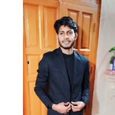 Prakhar Pratap Singh-Freelancer in Noida,India