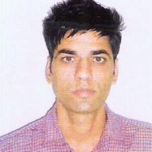 Ram Prasad-Freelancer in ,India