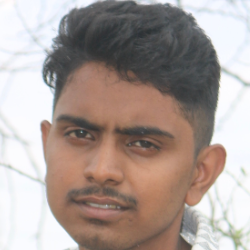 Akash Kumar Mandal-Freelancer in Delhi,India