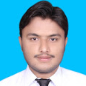 Muhammad Husnain-Freelancer in Islamabad,Pakistan