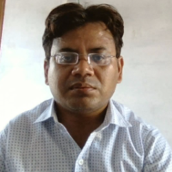 shailesh kumar maurya-Freelancer in Allahabad,India