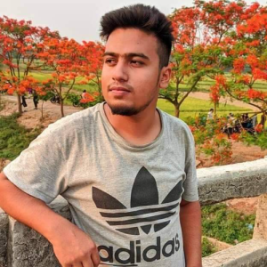 Md. Khayruzzaman Biplob-Freelancer in Dhaka,Bangladesh