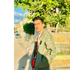 Wael Benmoussa-Freelancer in Aryanah,Tunisia