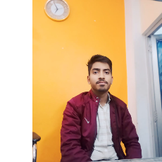 Shivam Pal-Freelancer in Lucknow Division,India