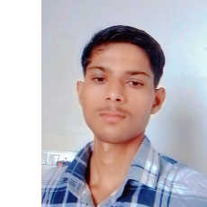 Saurav Meena-Freelancer in Jaipur,India