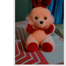 A Yasaswini-Freelancer in Vijayawada,India