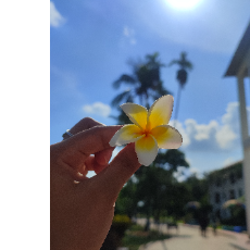 Jannat Ferdous Semi-Freelancer in Dhaka,Bangladesh