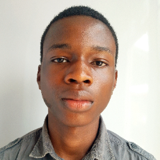 Israel Ajala-Freelancer in Osogbo,Nigeria