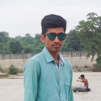 Md Rashid Ansari-Freelancer in chhattisgarh,India