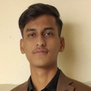 Puneet Pandey-Freelancer in Prayagraj,India