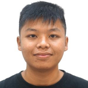 Cheeyeng Wong-Freelancer in Seri Kembangan,Malaysia