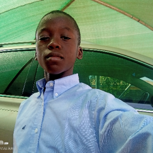 Ibrahim Gidado-Freelancer in Ilorin,Nigeria