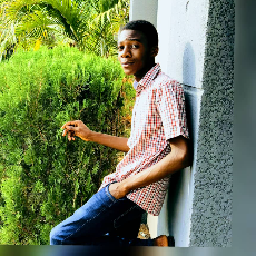 Ismail Idris-Freelancer in Lagos,Nigeria