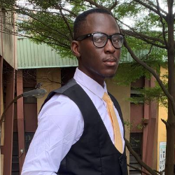 Adewole Great-Freelancer in Lagos,Nigeria