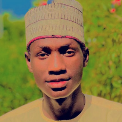 Musbahu Bello-Freelancer in Kaduna state,Nigeria