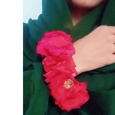 Areej-Freelancer in Kallar syedan,Pakistan