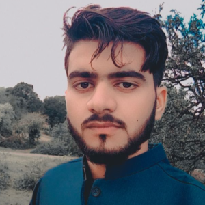 Muhammad Bilal-Freelancer in Islamabad,Pakistan