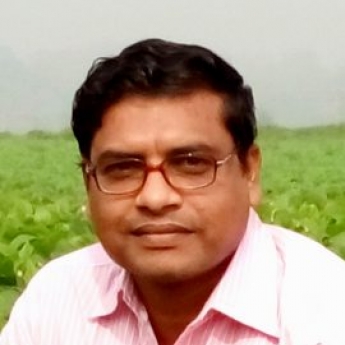 Nandalal Sarkar-Freelancer in Raghunathpur,India