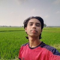 Muhammad Shaikh-Freelancer in Moulvi Bazar District,Bangladesh