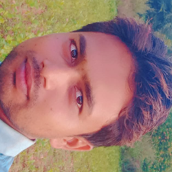 Saty Prakash Kumar-Freelancer in Sonipat,India