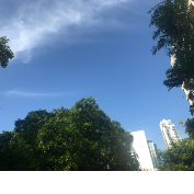 Sonali Gunaratne-Freelancer in Colombo,Sri Lanka