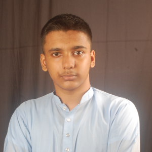 Md Shahadat Prince-Freelancer in Ghatail,Bangladesh