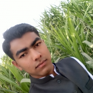 Tanveer Ahmed-Freelancer in Bahawalpur,Pakistan