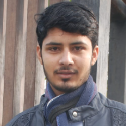 Bilal Hamza-Freelancer in Lahore,Pakistan