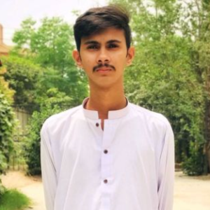 Hassan Zaidi-Freelancer in Gujrat,Pakistan