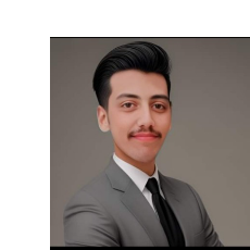 Muhammad Mubeen Ijaz-Freelancer in Shorkot Cantt,Pakistan