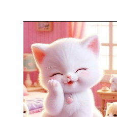 Sehrish Muffasar-Freelancer in Lahore,Pakistan