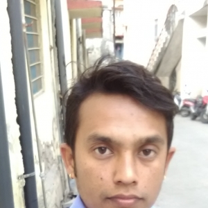 Naresh Kumar-Freelancer in Udaipur,India