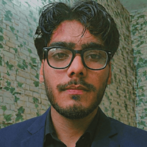 Taha Arsh-Freelancer in Lucknow,India