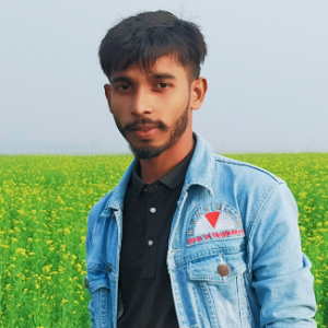 Obaidul Haque-Freelancer in Brahmanbaria District,Bangladesh