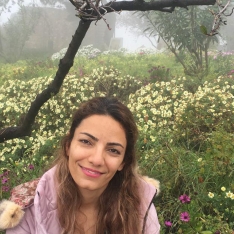 Hamideh Amirfakhryan-Freelancer in Barcelona,Spain
