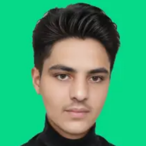 Zain Mujtaba-Freelancer in Sargodha,Pakistan