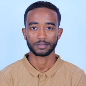 Abebe-Freelancer in Addis Ababa,Ethiopia