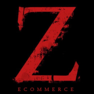 Z Ecommerce-Freelancer in Jaipur,India