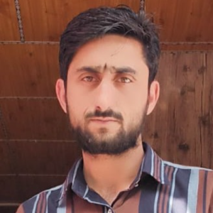 Suhail Hameed-Freelancer in kashmir,India