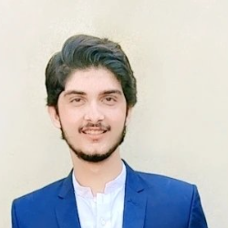 Muhammmad Bin Tariq-Freelancer in rajana,Pakistan