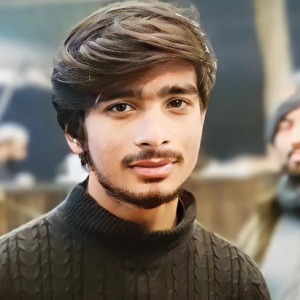 Mahrab Siyal-Freelancer in Dera Ismail Khan,Pakistan