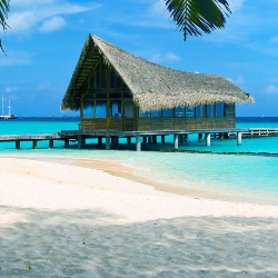 Jahanara Juy-Freelancer in Rajshahi,Bangladesh