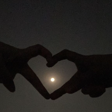 Saman Kanwal Rehmatullah-Freelancer in Hyderabad,Pakistan