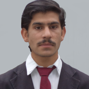 Muhammad waleed-Freelancer in Thana,Pakistan