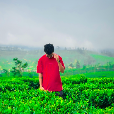 Jakshan Jack-Freelancer in Colombo,Sri Lanka