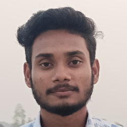 Mohammad Liton Chowdhury-Freelancer in Dhaka,Bangladesh