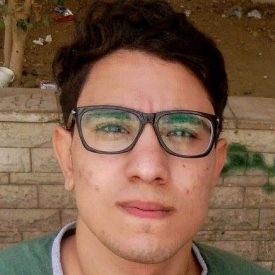 Mahmoud Souliman-Freelancer in Cairo,Egypt
